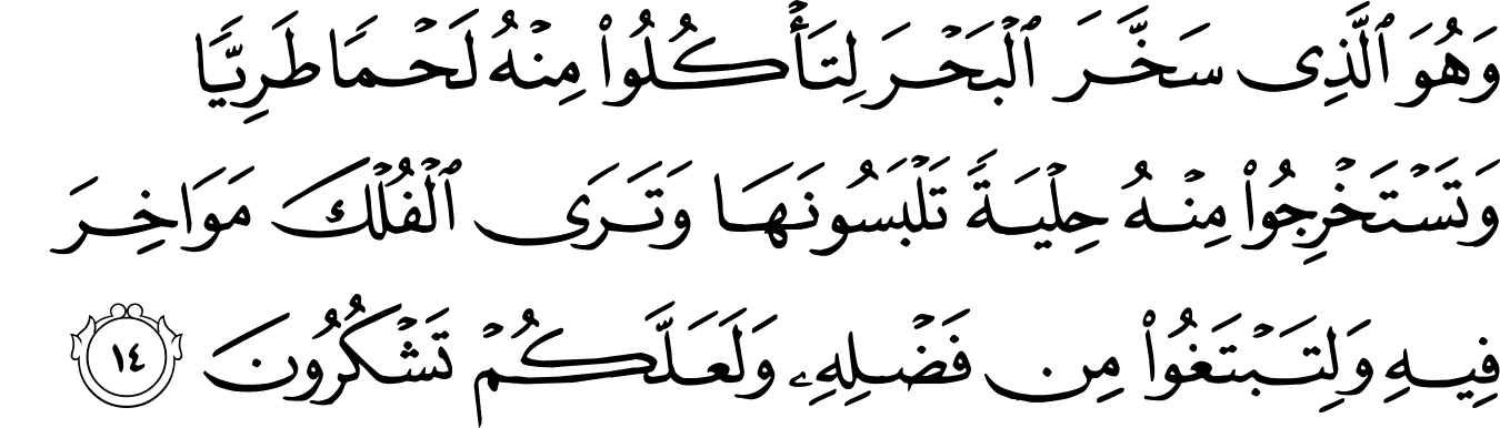 Lihat Arti Surah An Nahl Ayat Abaan Murottal Quran