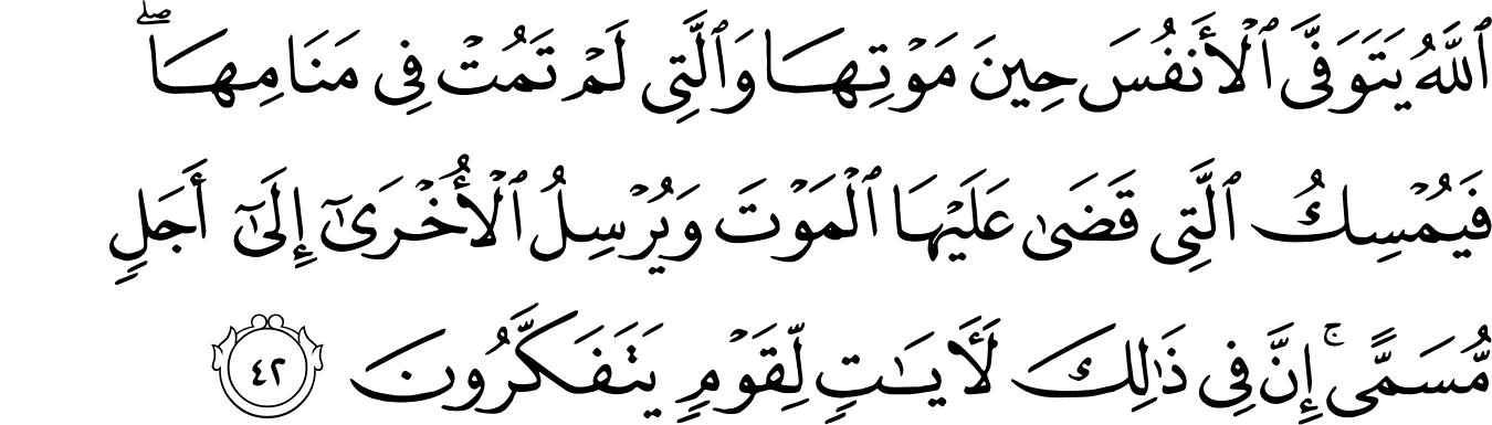 Surat Az-Zumar [39:42] - The Noble Qur'an - القرآن الكريم