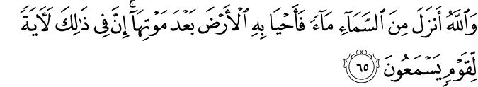 16:65