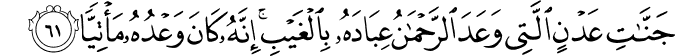 19:61