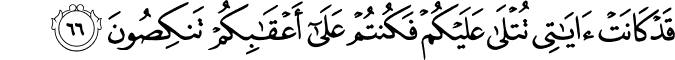 23:66