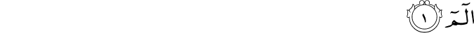 31:1