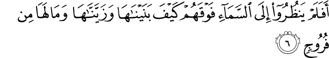 50:6