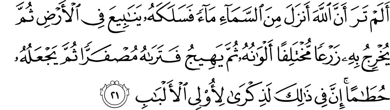 Surat Az Zumar 3920 26 The Noble Quran القرآن الكريم