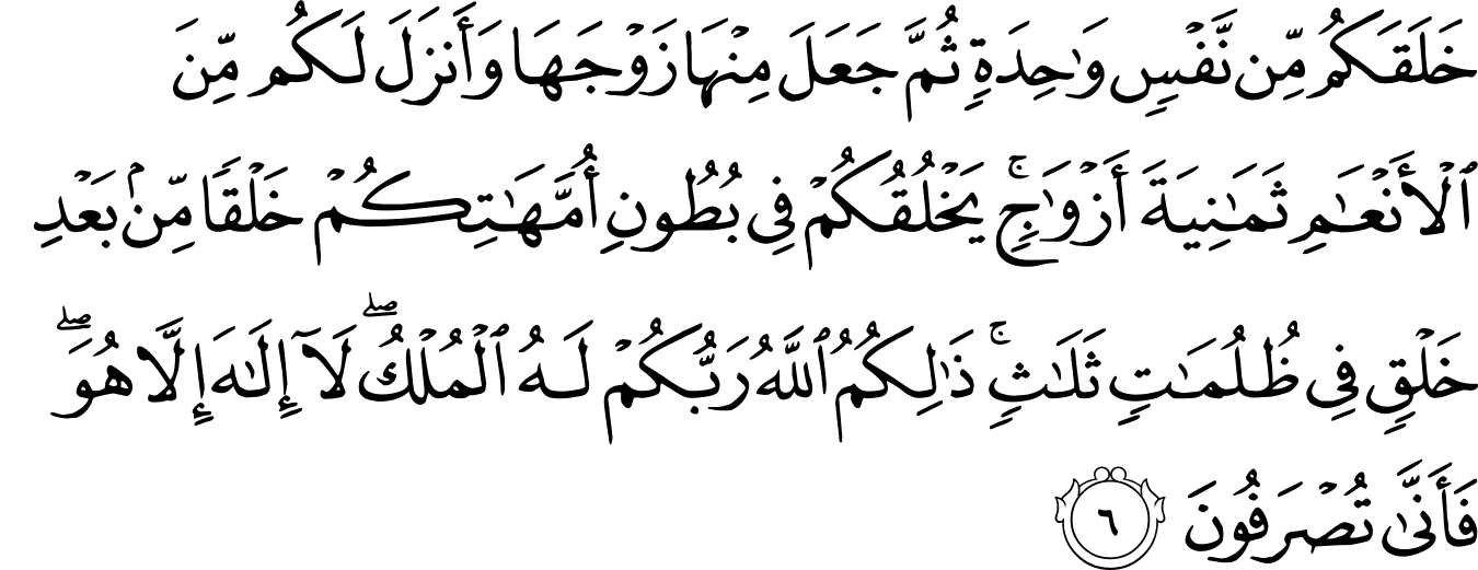 Surat Az Zumar The Noble Quran القرآن الكريم