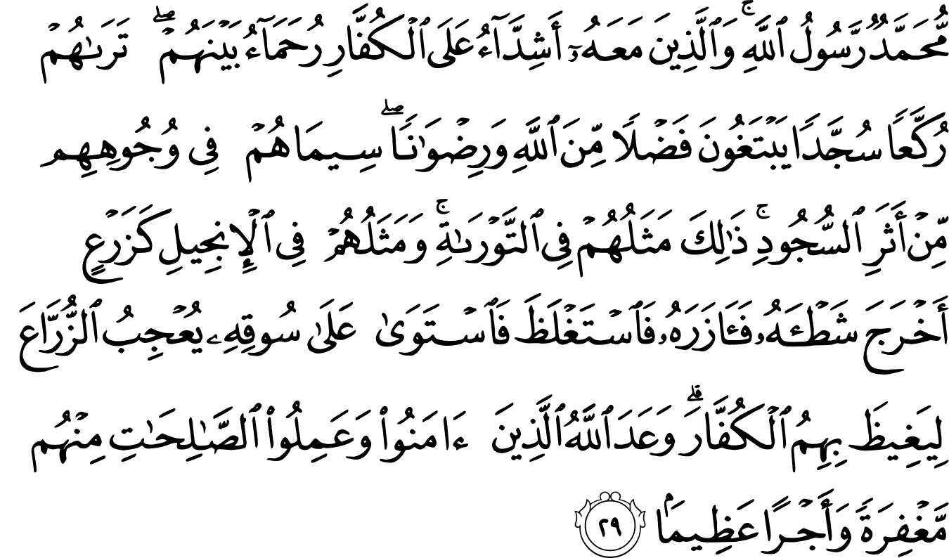 Surat Al Fath 48 28 29 The Noble Qur An القرآن الكريم